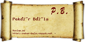 Pekár Béla névjegykártya